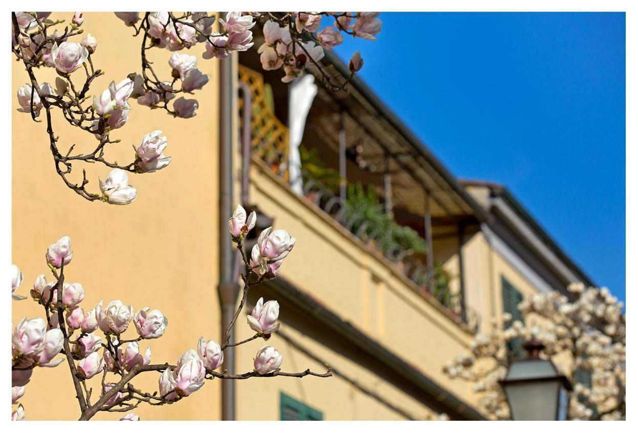 Casa San Girolamo Historic Flat With Cosy Terrace In Lucca'S City Centre Екстериор снимка